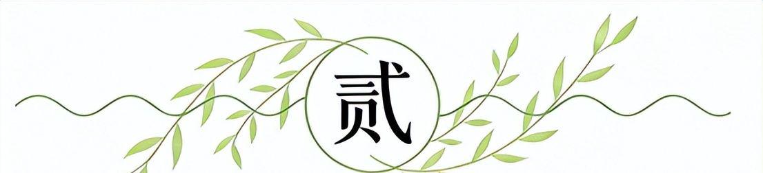全红婵不对劲,不是她以后不比赛了,而是她今年19岁了,居然开始了自己的精致路线